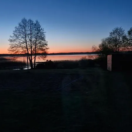 Holenderski Adas Gawliki Wielkie